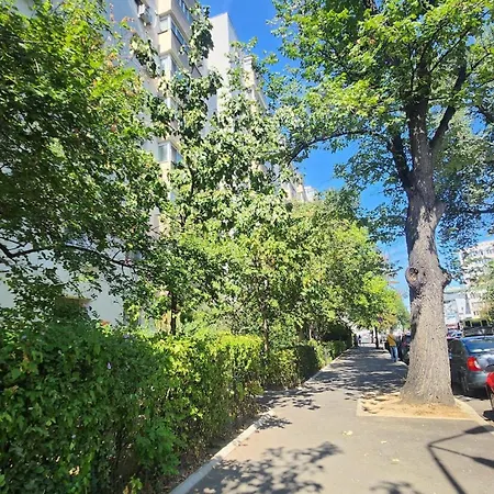 Apartment Zen Relax - Polona - Calea Victoriei - Metro Station