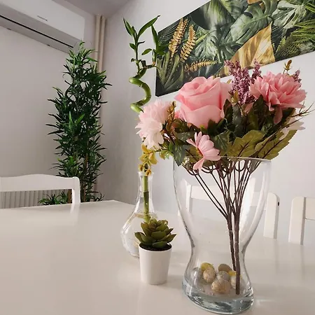 Zen Relax - Polona - Calea Victoriei - Metro Station