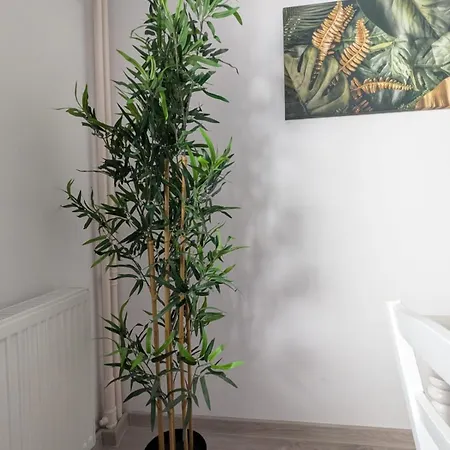 Zen Relax - Polona - Calea Victoriei - Metro Station דירה