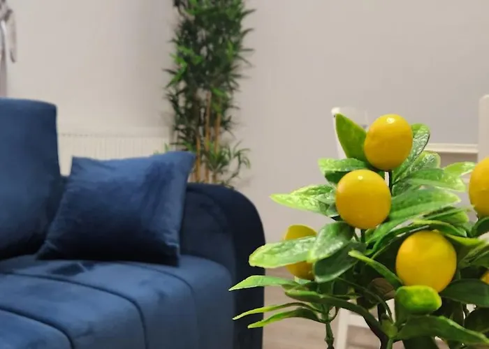 Zen Relax - Polona - Calea Victoriei - Metro Station *